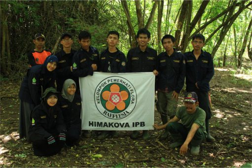 Tim Ekspedisi RAFFLESIA HIMAKOVA 2013 Menemukan  Rafflesia patma Blume di Cagar Alam Bojonglarang Jayanti Cianjur