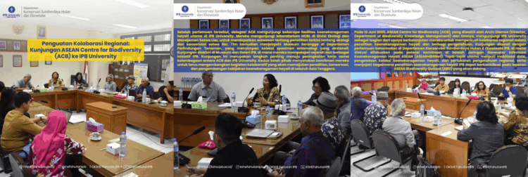 Penguatan Kolaborasi Regional : Kunjungan ASEAN Centre for Biodiversity (ACB) ke DKSHE Fahutan IPB University