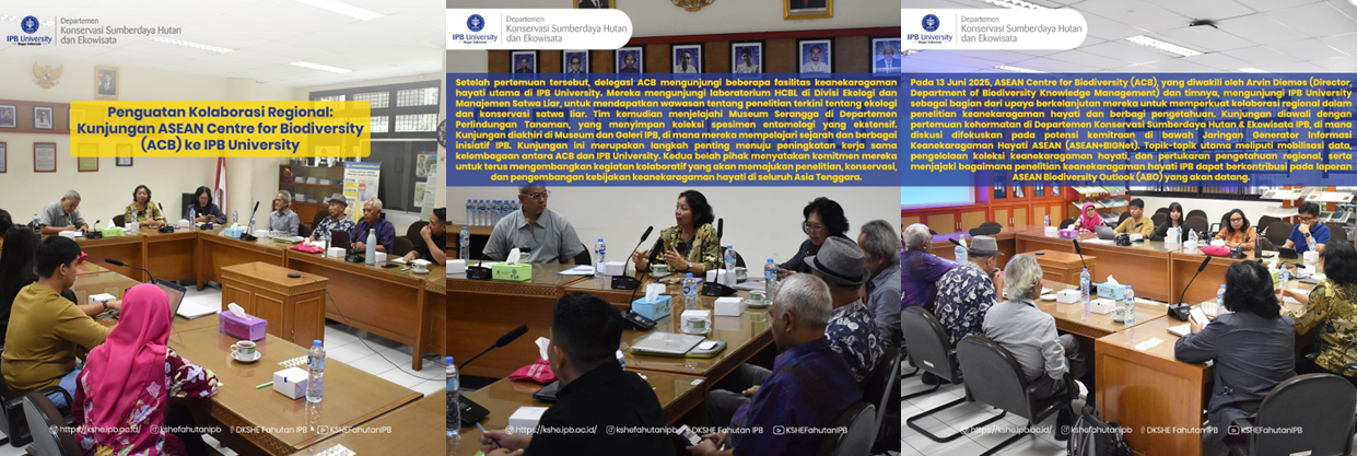 Penguatan Kolaborasi Regional : Kunjungan ASEAN Centre for Biodiversity (ACB) ke DKSHE Fahutan IPB University